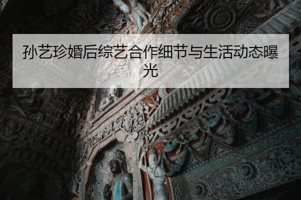 孙艺珍婚后综艺合作细节与生活动态曝光
