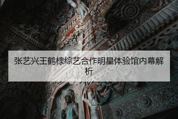 张艺兴王鹤棣综艺合作明星体验馆内幕解析